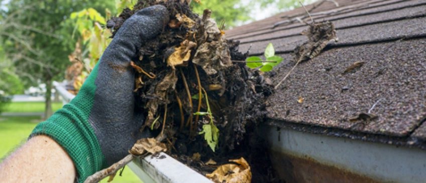 Gutter Cleaning Tips – Ins and Outs!
